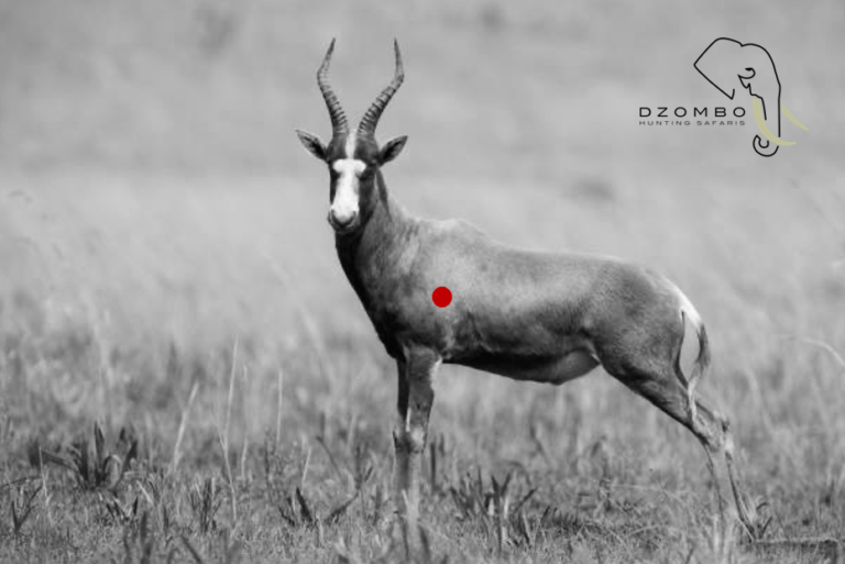 Screenshot 2024-05-17 032908