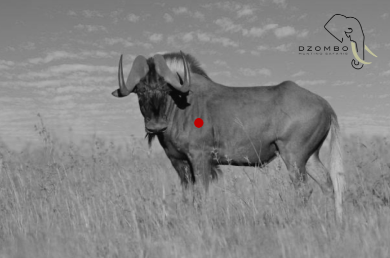 Screenshot 2024-05-17 032931