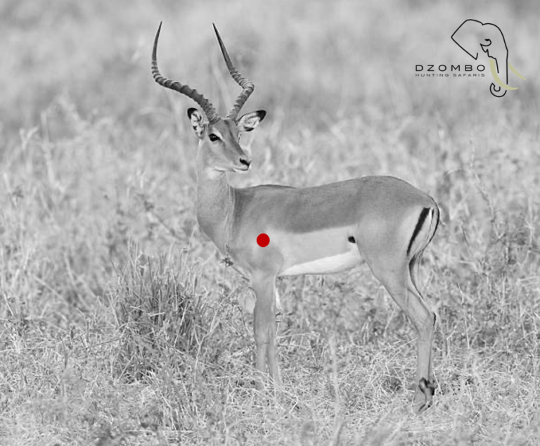 Screenshot 2024-05-17 033046