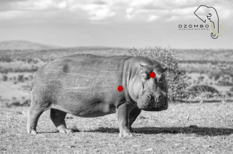 Screenshot 2024-05-17 033251